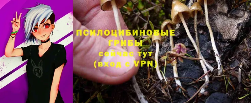 Галлюциногенные грибы Cubensis  дарнет шоп  Муром 